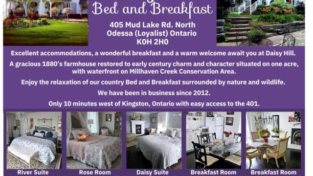 inbound7242928613760587819