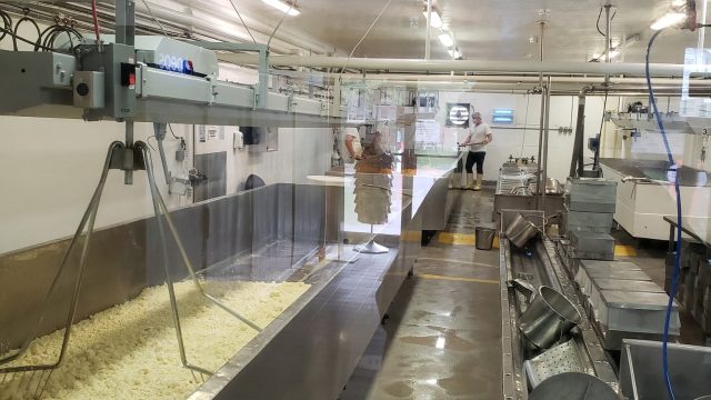 Wilton Cheese – Inside the Factory